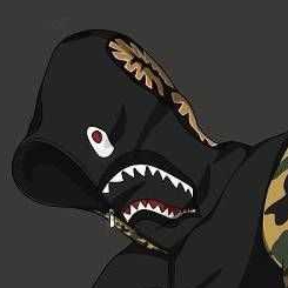 Meet your Posher, Ryzegaming